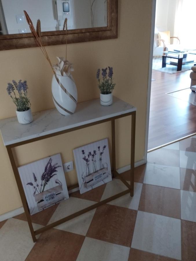 Alameda Residence Tomar Kültér fotó